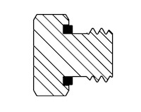 PP-A-SS Cross Section